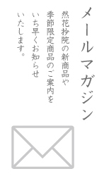 メールマガジン