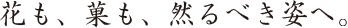 花も、菓も、然るべき姿へ。